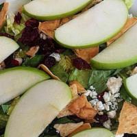 Apple Fuel Salad · Sliced apples, chopped romaine, cranberries, blue cheese and crumbled pita chips in low fats...