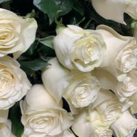 Mundial 25 White Roses · special long stem roses