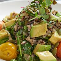 Quinoa Salad · organic tri-color quinoa, avocado, baby arugula, jicama, cucumbers, lemon-orange vinaigrette