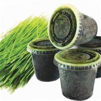 Wheatgrass/Kamut 1Oz · Naturally Cleanse/ Equivalent to 2.5 lbs of Green Vegetables/ High in Vitamins, Minerals and...