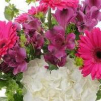 Too Cute · Bright pink gerbera daisies, white hydrangea and alstroemeria arranged in a clear glass vase...