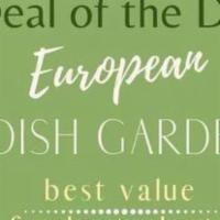 Deal Of The Day / European Dish Garden · Let our designers create the perfect European dish garden with the freshest plants for any o...