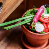 Garden Salad · Tomatoes, cucumbers, radishes, sorrel, scallions, dill and parsley. Choice of sunflower oil,...