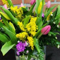 Spring Is Here With Tulips · Spring is here is one of the nice arrangements with tulips, yellow solidago and purple monte...