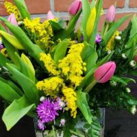 Spring Is Here With Tulips · Spring is here is one of the nice arrangement with tulips, yellow solidago and purple monte ...