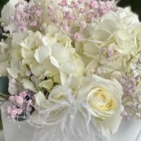 Box Of Blooms - Pink · 12” arrangement of Hydrangeas, Roses and Babies Breath in a feather adorned White box.