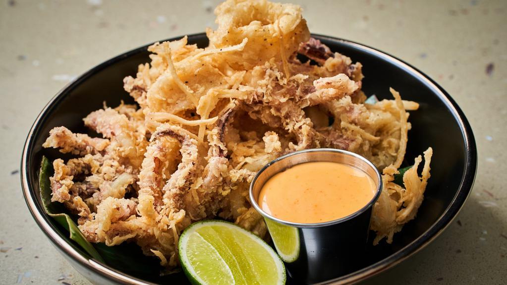 Pla Muk Tord · Crispy fresh calamari and young coconut served with spicy mayonnaise.