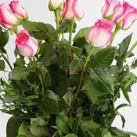 Malibu Roses · Classic beauty - long stem roses arranged with greenery.
