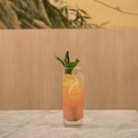 Grapefruit Lime Fizz · grapefruit, lime, ginger syrup, soda