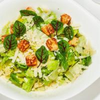 Caesar Salad · Homemade Crouton, Parmesan, Anchovy dressing.