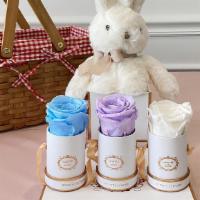 Breezy Mini Set · Rose colors from left to right: Bright Blue, Light Pink, Pure White (bunny included)