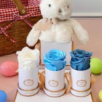 Sky Mini Set · Rose colors from left to right:  Pure White, Bright Blue, Dusty Blue/Sea Blue (bunny included)