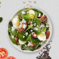 Spinach Catcher Salad  · Fresh baby spinach, Muenster Cheese, cherry tomatoes, and red onion served with citrus vinai...