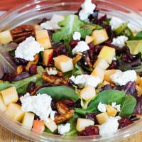 Field Salad · Organic spring mix, organic goat cheese, candied pecans, dried cranberries, and apple.