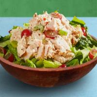 Chicken Waldorf Salad · Grilled chicken, grapes, sliced celery, and romaine lettuce with your choice of dressing.