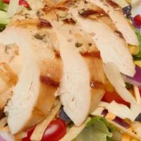 Tex-Mex Salad · Romaine and iceberg lettuce, Cajun chicken, corn, avocado, tomatoes and tortilla strips with...