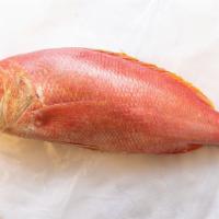 Red Snapper · Price is per pound