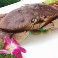 Dungeness Crab 温哥华大蟹 · 