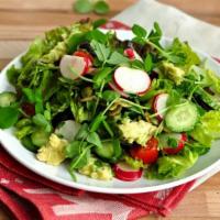 Garden State Salad سلطة شرقية  · Croutons, Cucumber, Radish, Kale, Baby Spinach, Tomato, Parsley, Cilantro, mint, Scallion, l...
