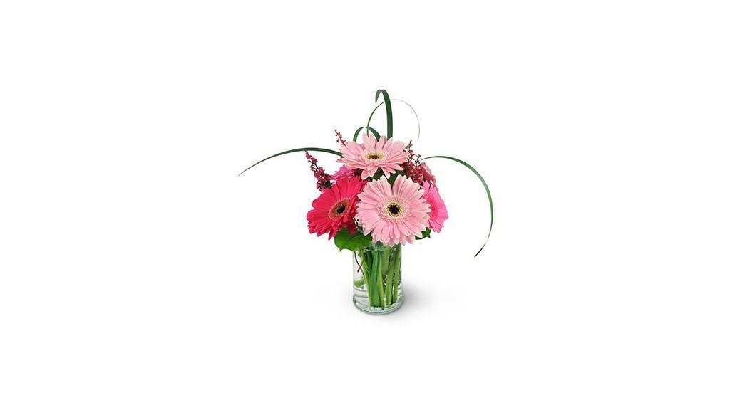 Think Pink · When you want to send flowers to the special lady in your life, Think Pink! Our Think Pink bouquet will charm its way into her heart and features miniature and full-sized pink gerbera daisies, with wisps of heather and monkey grass in a gorgeous display. Gerbera daisies in hues of pink are expertly arranged with heather, monkey grass, and salal in a clear glass vase. Product ID UFN1031. Approximately 8