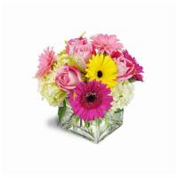Strawberry Bliss™ · Deliciously fun! She’ll love this bright, brilliant pink arrangement, filled to the brim wit...