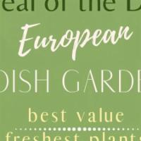 Deal Of The Day - European Dish Garden · Let our designers create the perfect European dish garden with the freshest plants for any o...