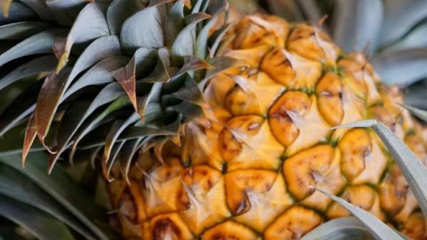 Pineapple · Fresh Maui Gold pineapple.