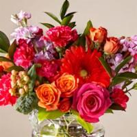 Sunshine Splendor By Southern Living · New and exclusive. Like the splendor of a sunshine-filled day, our new bouquet radiates happ...