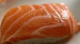 Toro Salmon · Fatty king salmon.