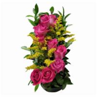 Pink Floral · Roses
Israel roscus
Base