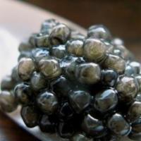 Siberian Baerii (50G) · A fabulous discovery for caviar lovers. Hailing from the Siberian sturgeon, this osetra-styl...
