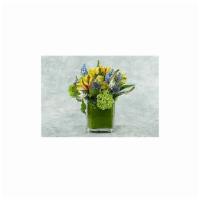 Tight And Lush
 · A soft palate of yellow, blue, green and white flowers.

Flowers and vase subject to change ...