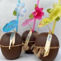 Smoothie In A Souvenir Coconut · A cute Hawaiian Souvenir Coconut Cup served with a non-dairy, coconut water-based fresh frui...