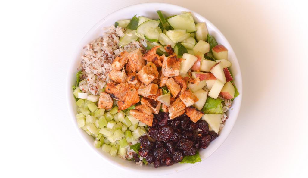 Cilantro Lime Chicken Bowl · Served with apples, baby arugula, celery, cilantro, cucumbers, dried cranberries, fresh squeezed lime, grilled chicken, and organic brown rice quinoa.