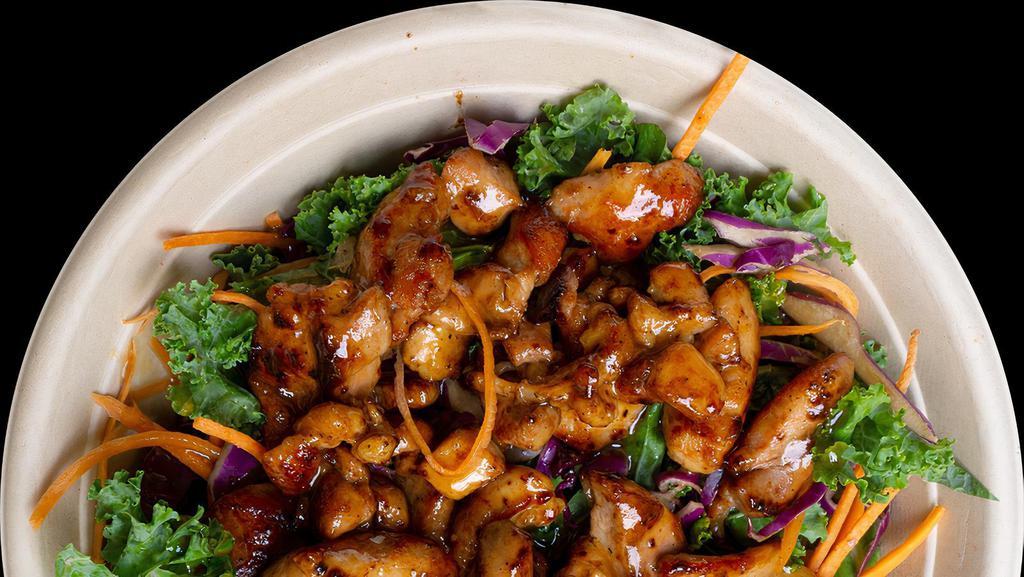 Terry Salad Bowl · Chicken teriyaki on a kale, purple cabbage, and carrot salad with our teriyaki sauce.