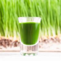 Wheatgrass Shot · Wheatgrass