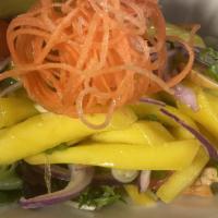 Mango Salad · Spicy lime sauce, red onions, tomatoes, scallions.