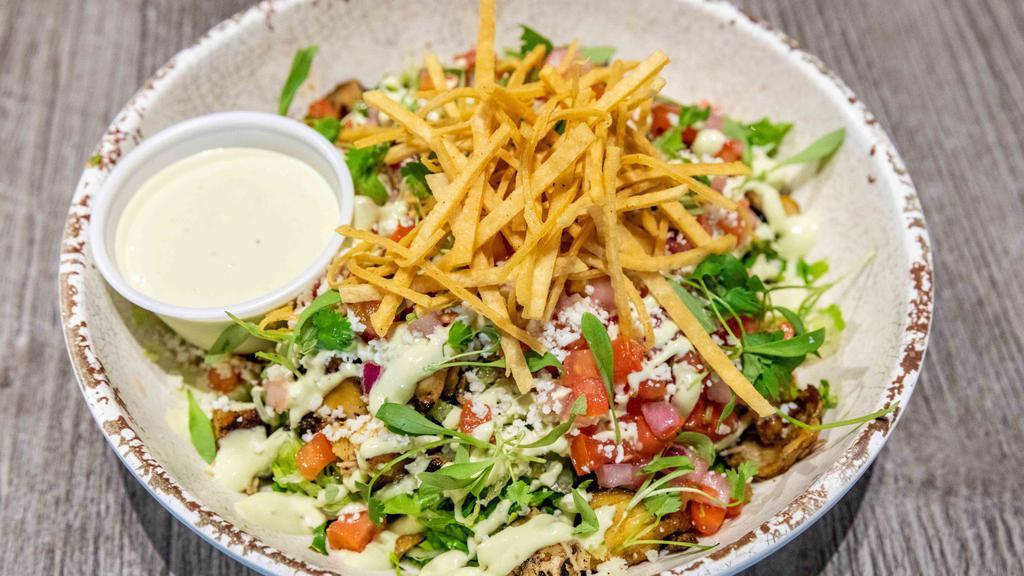 Mexican Salad · Shredded romaine lettuce topped with choice of meat, corn relish, tortilla strips, and avocado crema vinagrette