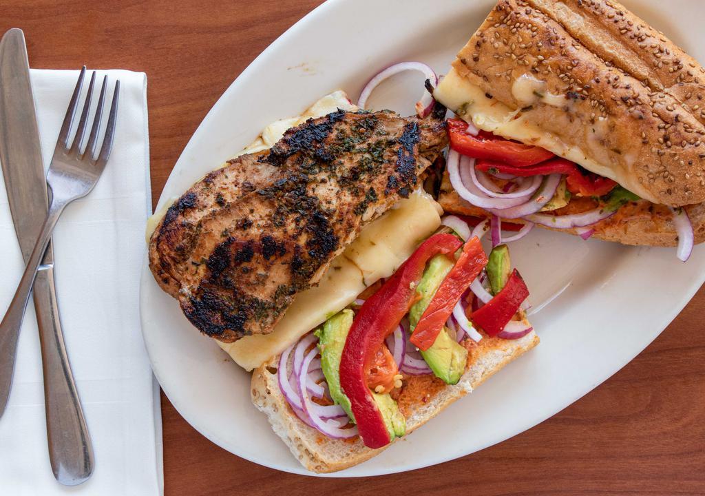 Southwest Panini · Grilled chicken, pepper jack cheese, roasted red peppers, red onions, avocado and chipotle mayo.