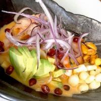 Ceviche Exotico · Shrimp, green mango, avocado, rocoto aioli, pomegranate seeds, lime, cilantro, sweet potato,...