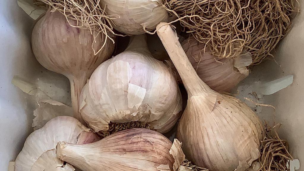 Garlic · 