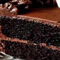 Ultimate Chocolate Cake · A foundation of chocolate decadence, a layer of chocolate mousse, and a layer of chocolate b...