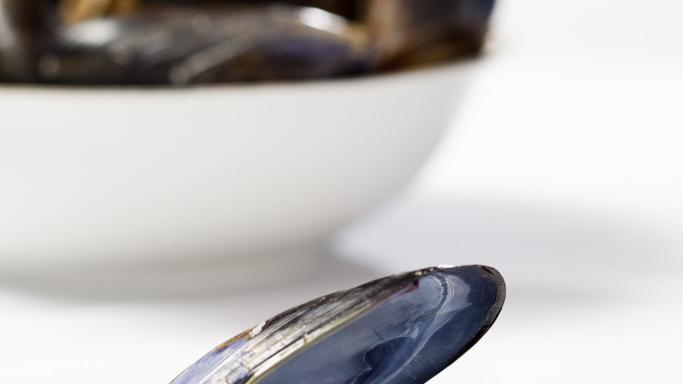Black Mussels · EVERY POUND COME WITH CORN & POTATO