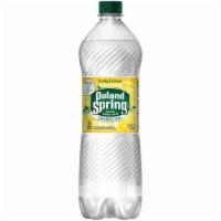 Poland Spring Water 1L · 1 L