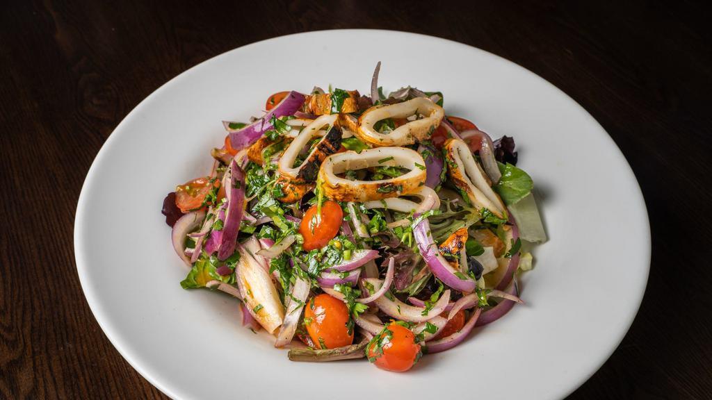 Grilled Calamari Salad · Char – grilled fresh calamari, tomato, red onions, parsley and mix green salad tossed with olive oil, lemon juice and garlic sauce.