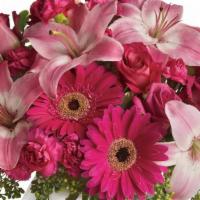 A Little Pink Me Up · Lovely pink roses and Asiatic lilies are joined by hot pink gerberas and miniature carnation...