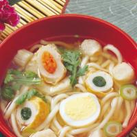 Vegetable Udon · Thick Japanese style noodles in mild broth w. vegetables, fish cake & boiled egg