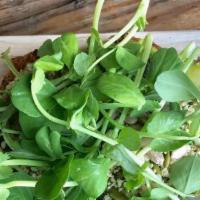 Guac N' Seeds Toast (Vegan) · Green Chile Guacamole topped with Microgreens, Pumpkin Seeds, Hemp Seeds, Sunflower Seeds, E...