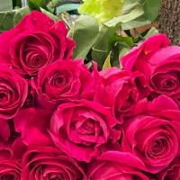 12 Long Stem Hot Pink Roses  · 12 Long Stems Hot Pink Roses,  Available in different  colors of Roses: White, Light Pink, R...