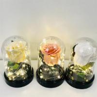 Domes With Lights · A single rose adorned with lights.
Color subject to availability